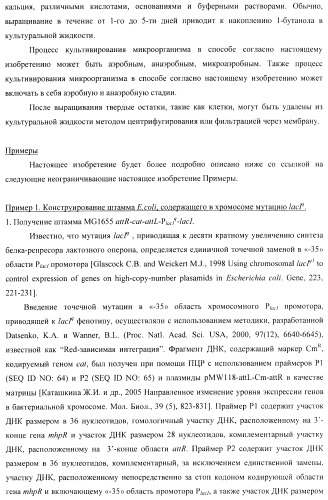 Бактерия - продуцент 1-бутанола и способ получения 1-бутанола (патент 2431672)