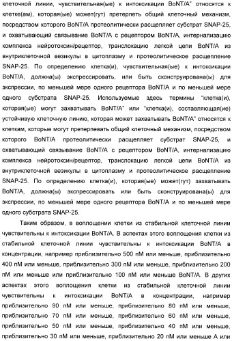 Иммунологические анализы активности ботулинического токсина серотипа а (патент 2491293)