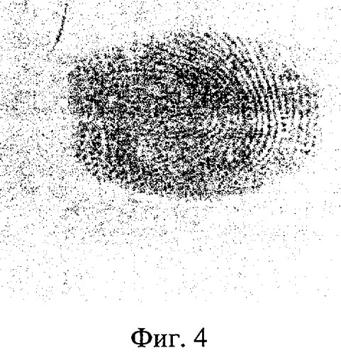 Способ установления давности потожирового следа руки (патент 2295766)