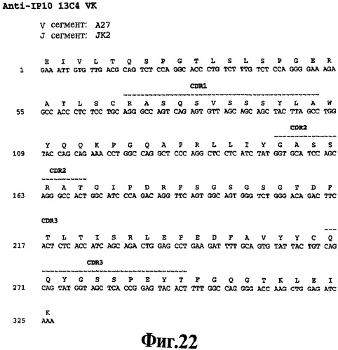 Выделенное антитело против ip-10, иммуноконъюгат и биспецифическая молекула на его основе, их композиции, способ лечения (варианты), кодирующая молекула нуклеиновой кислоты, соответствующий экспрессионный вектор, клетка-хозяин и гибридома (патент 2486199)