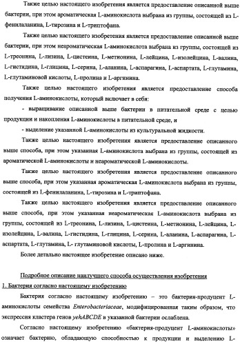 Способ получения l-треонина и l-аргинина с использованием бактерии, принадлежащей к роду escherichia, в которой инактивирован кластер генов yehabcde (патент 2337960)