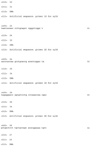 Новая эндо-(1-4)- -d-ксиланаза из penicillium canescens (варианты), фрагмент днк, кодирующий секретируемую эндо-(1-4)- -d-ксиланазу из penicillium canescens (варианты), и способ ее получения (патент 2412246)