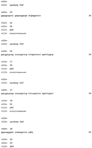 Способ клонирования когнатных антител (патент 2459868)