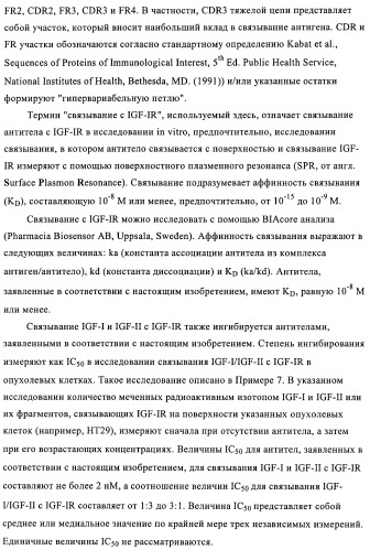 Антитела к рецептору инсулиноподобного фактора роста i и их применение (патент 2363706)