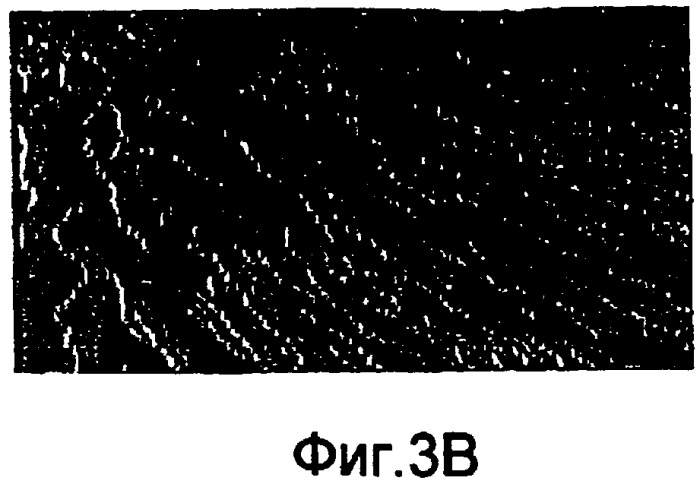 Основанные на применении компьютера формирование и проверка тренировочных образов, предназначенных для многоточечного геостатистического анализа (патент 2391686)