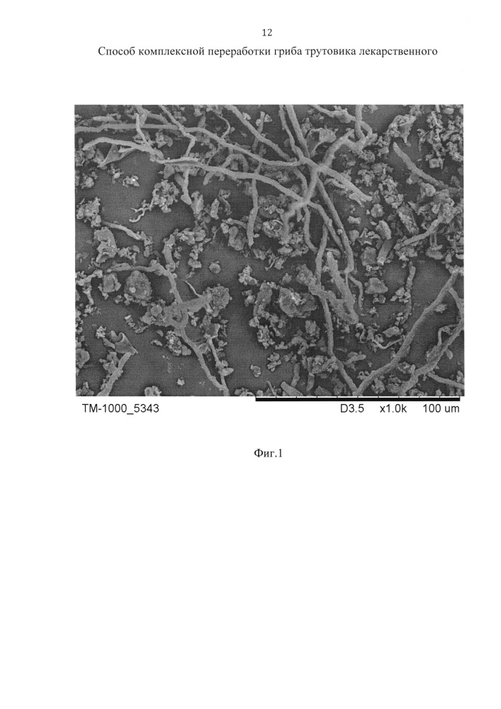 Способ комплексной переработки гриба трутовика лекарственного (патент 2619551)