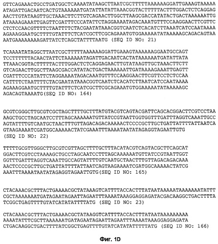 Промоторы lactococcus и их применение: (патент 2495129)