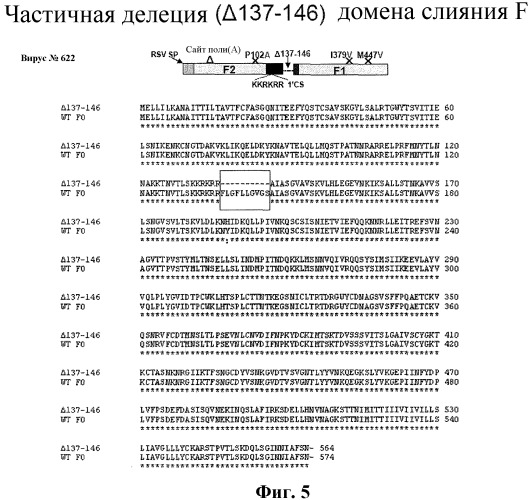 Модифицированные f протеины sv и способы их применения (патент 2531510)