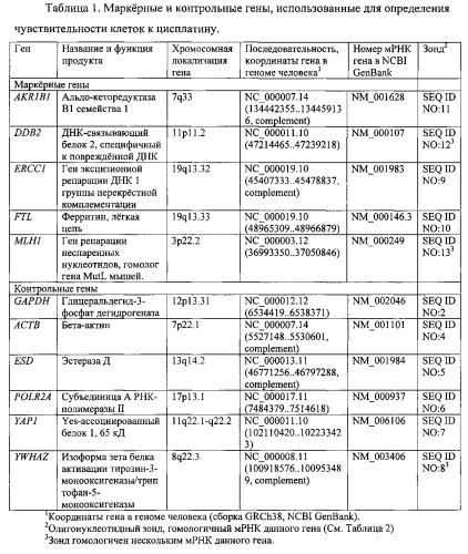 Способ определения чувствительности клеток рака легкого к цисплатину на основании уровней экспрессии маркерных генов и набор для его осуществления (патент 2557976)