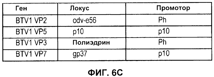 Векторы (патент 2569183)