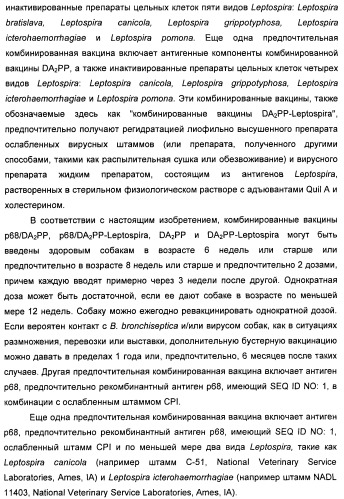 Поливалентные вакцины для собак против leptospira bratislava и других патогенов (патент 2400248)