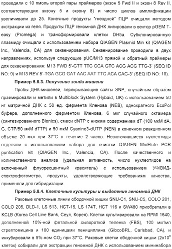 Макромолекула регулируемого размера (патент 2326172)