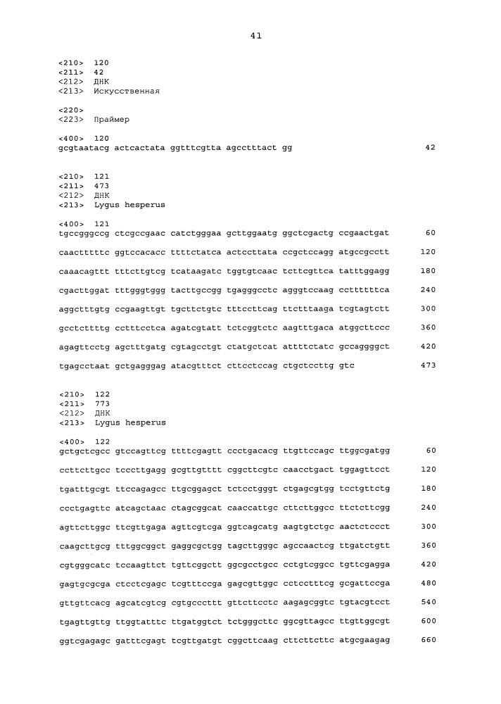 Подавление экспрессии генов у насекомых-вредителей (патент 2619219)