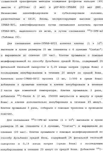 Белок ifnab-bpi, его предшественник, молекула днк, экспрессирующий вектор, способ продуцирования, фармацевтическая композиция для ингибирования активности ifn-  или ifn-  (патент 2336279)