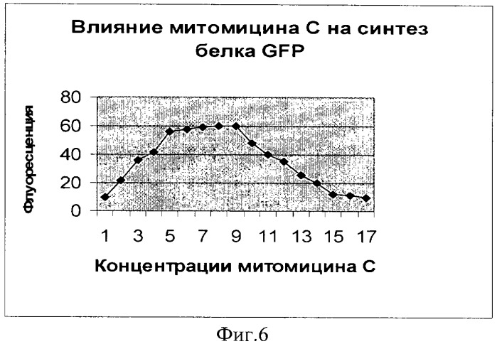 Рекомбинантная плазмидная днк для обнаружения агентов, повреждающих генетический аппарат клетки (варианты) (патент 2311459)