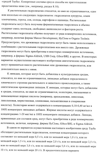 Линии клеток почки собаки майдин-дэрби (mdck), поддерживающие рост вирусов до высоких титров, и способ применения этих клеток в биореакторе (патент 2487935)