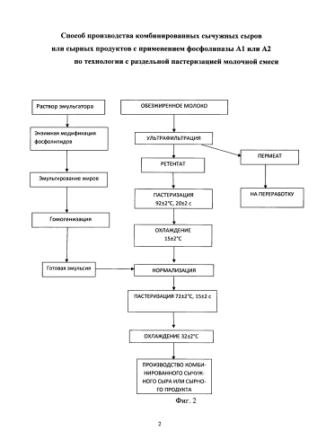 Способ производства комбинированных сычужных сыров или сырных продуктов с применением фосфолипазы а1 или а2 по технологии с раздельной пастеризацией молочной смеси (патент 2577109)