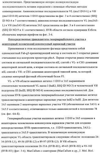 Композиции и способы диагностики и лечения опухоли (патент 2430112)