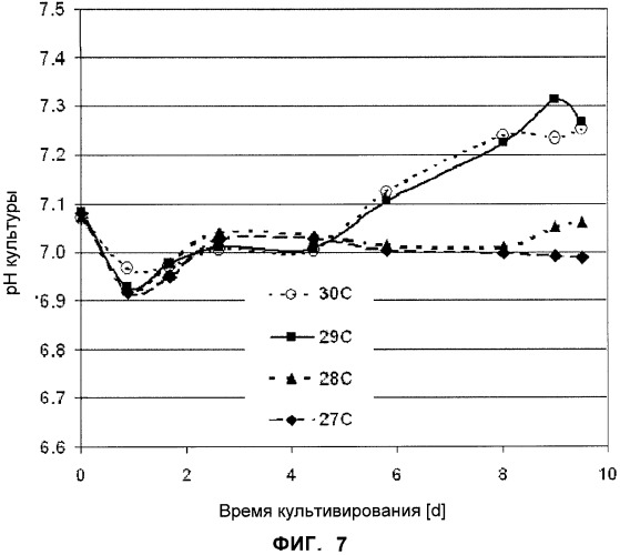 Применение низкой температуры и/или низкого pн в культуре клеток (патент 2478702)