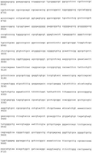 Иммортализованная клеточная линия птиц (патент 2475536)