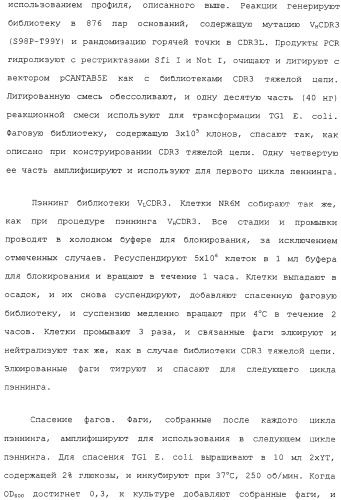 Scfv против egfrviii с улучшенной цитотоксичностью и выходом, иммунотоксины на их основе и способы их применения (патент 2317999)
