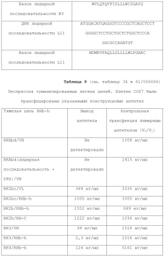 Антитела против вируса гепатита с (патент 2462475)