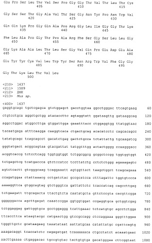 Pscaxcd3, cd19xcd3, c-metxcd3, эндосиалинxcd3, epcamxcd3, igf-1rxcd3 или fap-альфаxcd3 биспецифическое одноцепочечное антитело с межвидовой специфичностью (патент 2547600)