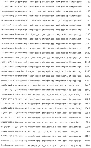 Антитело к epha2 (патент 2525133)