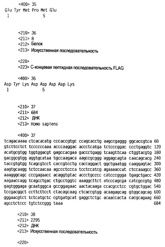 Новый лиганд рецептора цитокина zcytor17 (патент 2360923)