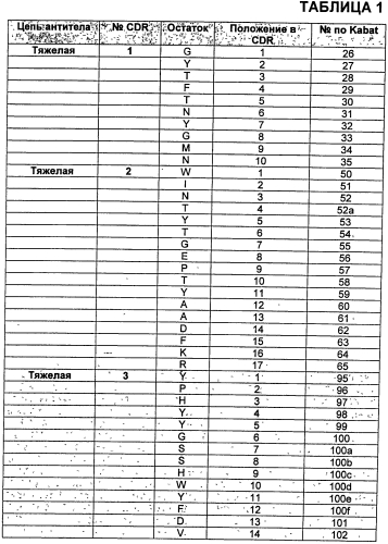 Антитела против vegf и их применения (патент 2567639)