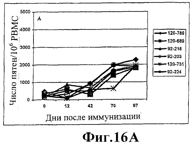 Человеческие антитела против человеческого 4-1вв (cd137) (патент 2376316)