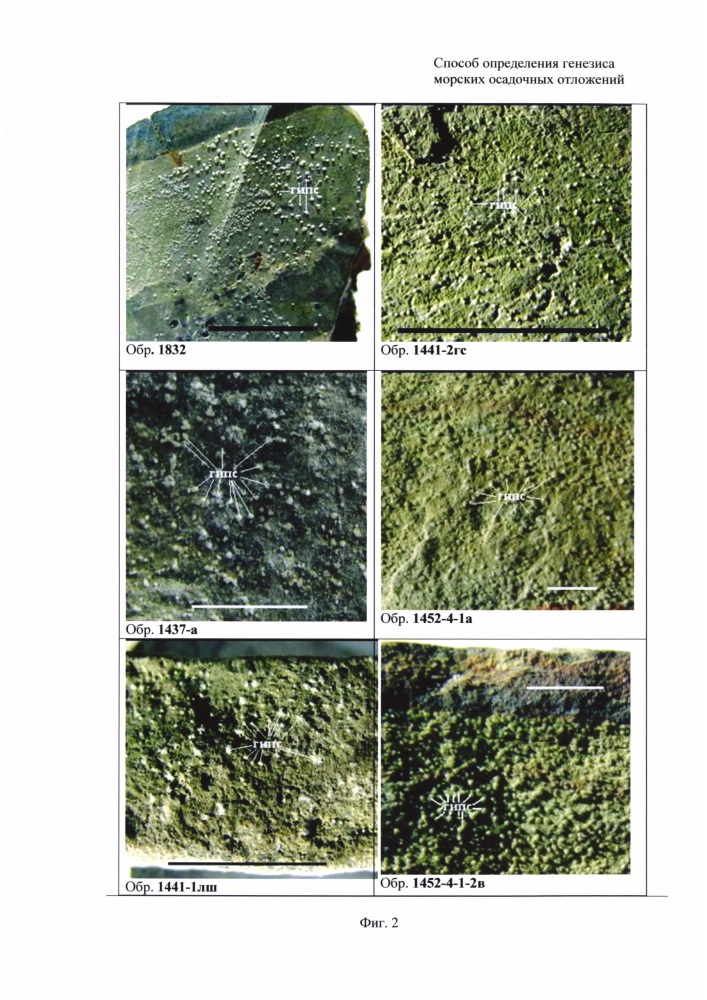 Способ определения генезиса морских осадочных отложений (патент 2665152)
