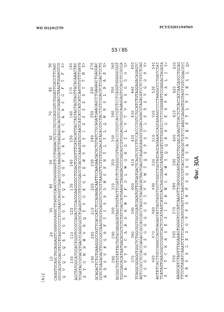 Антитело к противоопухолевому антигену и способы применения (патент 2598711)