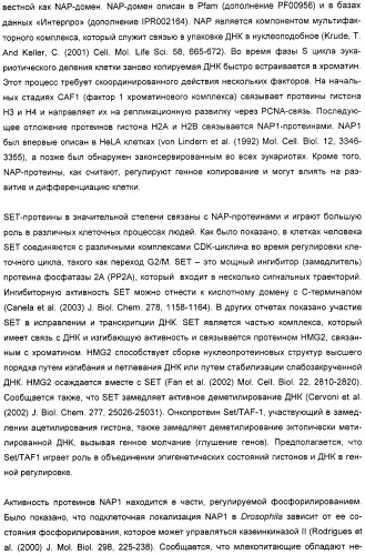 Способ повышения выхода семян растения, способ производства трансгенного растения, имеющего повышенную урожайность семян, генная конструкция для экспрессии в растении и трансгенное растение (патент 2409938)