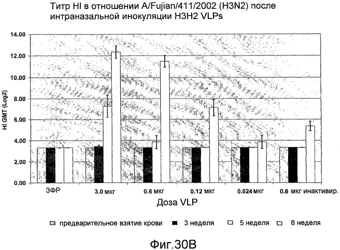 Функциональные вирусоподобные частицы гриппа (vlps) (патент 2483751)