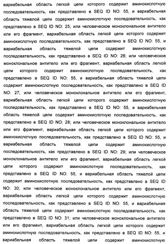 Антитела-нейтрализаторы гранулоцитарно-макрофагального колониестимулирующего фактора человека (патент 2458071)