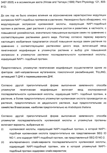 Способ повышения выхода семян растения, способ производства трансгенного растения, имеющего повышенную урожайность семян, генная конструкция для экспрессии в растении и трансгенное растение (патент 2409938)