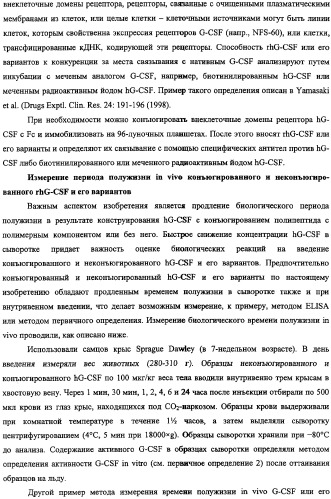 Конъюгаты g-csf (патент 2307126)