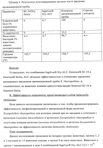 Иммуногенные композиции, содержащие lawsonia intracellularis (патент 2443430)