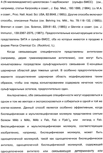 Человеческие моноклональные антитела к рецептору эпидермального фактора роста (egfr), способ их получения и их использование, гибридома, трансфектома, трансгенное животное, экспрессионный вектор (патент 2335507)