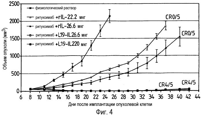 Комбинация слитого белка антитело против edb фибронектина-il-2 и молекулы, связывающейся с в-клетками, предшественниками в-клеток и/или их злокачественным аналогом (патент 2484845)