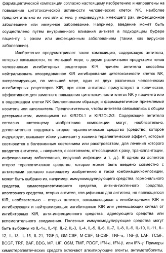 Антитела, связывающиеся с рецепторами kir2dl1,-2,-3 и не связывающиеся с рецептором kir2ds4, и их терапевтическое применение (патент 2410396)