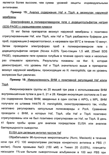 Нейссериальные вакцинные композиции, содержащие комбинацию антигенов (патент 2494758)