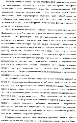 Изолированные полипептиды, кодирующие их полинуклеотиды, экспрессирующие их трансгенные растения и способы их использования (патент 2487166)