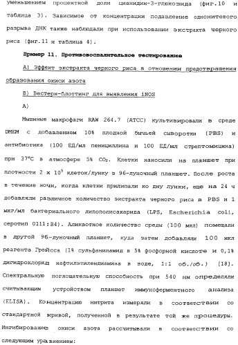 Способ экстракции антоцианинов из черного риса и их композиция (патент 2336088)