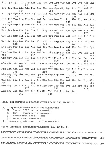 Рекомбинантный полипептид со свойствами плазминогена человека превращаться при активации в плазмин, который катализирует расщепление фибрина, фрагмент днк, кодирующий полипептид, рекомбинантная плазмидная днк для экспрессии полипептида и трансформированная клетка escherichia coli - продуцент полипептида (патент 2432397)