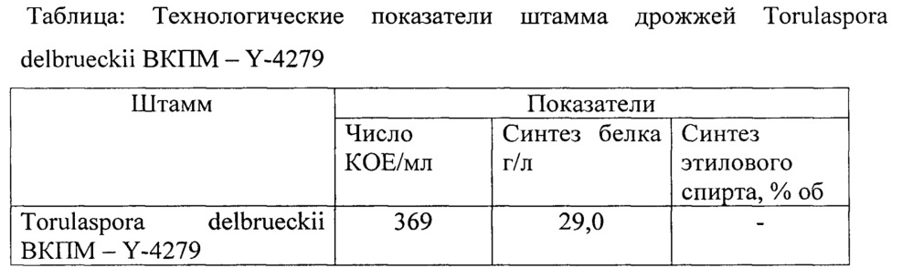 Штамм torulaspora delbrueckii вкпм y-4279 - продуцент этилового спирта (патент 2662965)