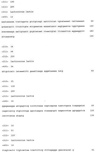 Промоторы lactococcus и их применение: (патент 2495129)