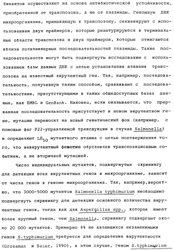 Vgc2 днк salmonella typhimurium, мутантная бактерия, обладающая пониженной способностью к адаптации к условиям окружающей среды, и способ ее получения (патент 2370541)