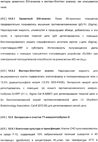 Специфические антитела человека для избирательной терапии рака (патент 2316564)
